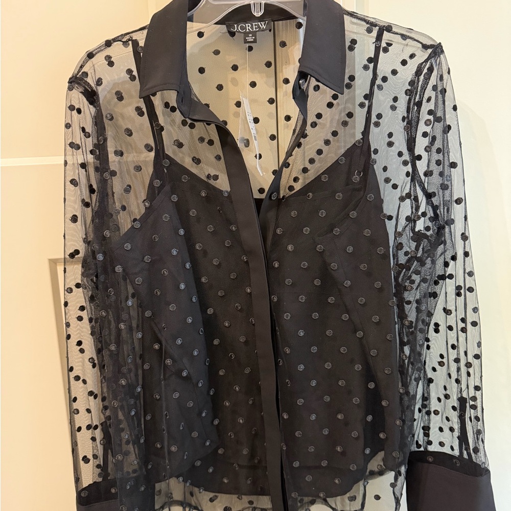 J. Crew Black Sheer Polka Dot Blouse